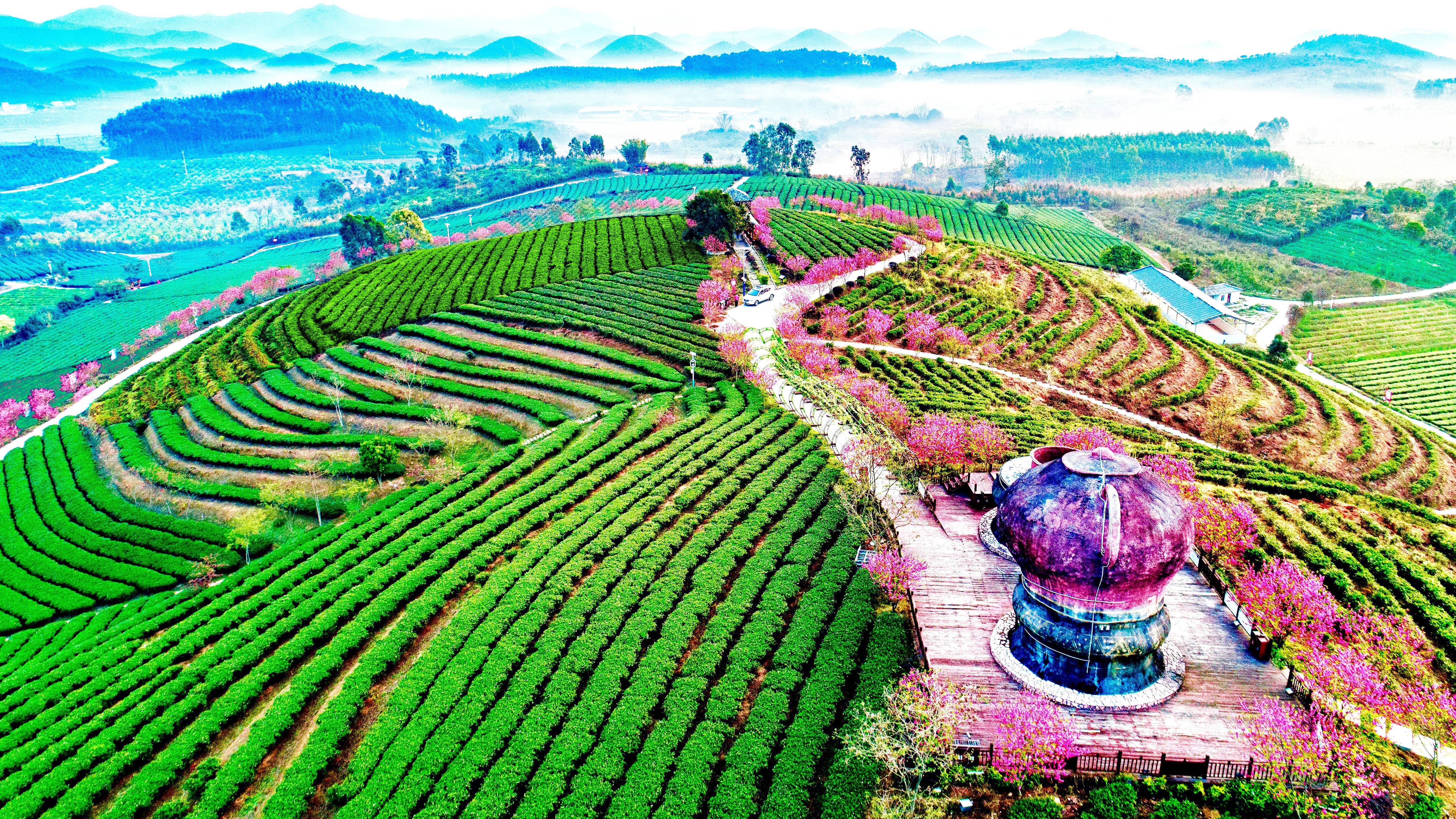 廣西農(nóng)墾茶業(yè)集團(tuán)有限公司